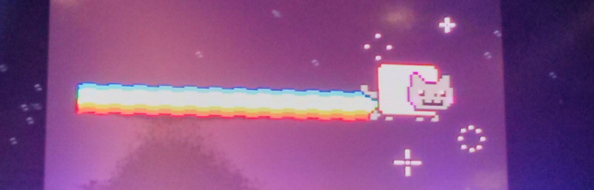 Photograph of a slide with Nyan Cat